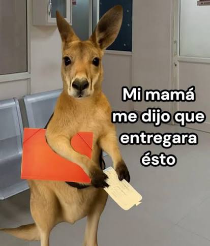 ¿Qué se necesita para empezar a vivir solo?
